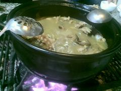 -蘑统田下·野生菌火锅