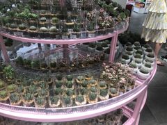 -KKV(深圳宏发大仟里店)