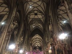 -斯蒂芬主教座堂(Stephansdom)