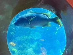 -海合安青岛极地海洋公园