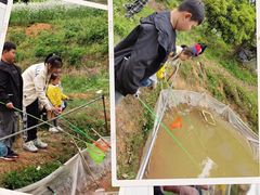 -武汉开心果园农业发展有限公司