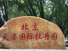 -太阳宫公园