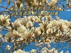 -北海公园