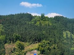-瓦屋山景区