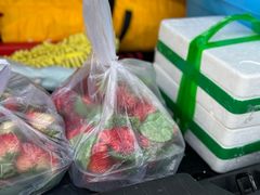 -大连果菜批发市场