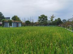 -洪湖家庭农场·团建·露营·会议