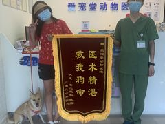 -瑞鹏宠物医院·爱宠堂(环西分院)