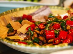 -陶缘一号·四季缘·老字号顺德菜·户外婚礼家宴(西滘店)