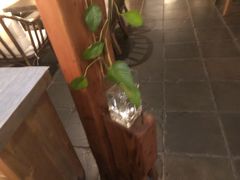 -瓦库茶馆17号(海汇港店)