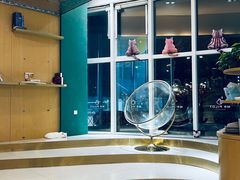 -飞行喵MR PILOT|猫舍·猫咖(静安大融城店)