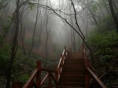 -大岭沟猕猴桃谷风景区