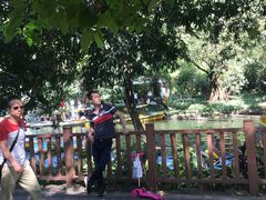 -晓港公园