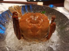 -柒厢食事雅谈