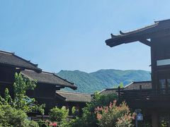 -大唐贡茶院