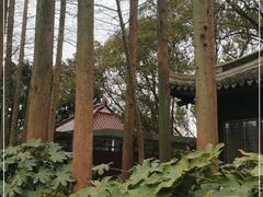 -亭林公园
