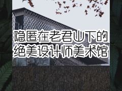 -知美术馆