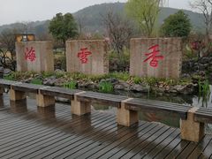 -香雪海