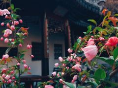 -中国昆曲博物馆