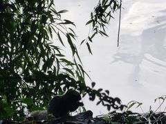 -三塔倒影公园