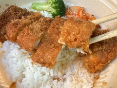 -堂本家·二代目·炸猪排(Express东海店)