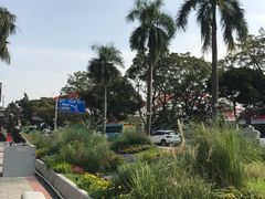 -珠江夜游省总码头