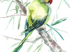 -BRAVO 赞·美艺术中心·系统美术·书法·艺考(双井校区)