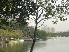 -广东花都湖国家湿地公园