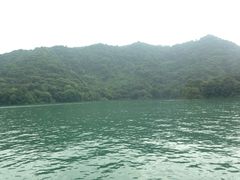 -河源万绿湖美思威尔顿酒店