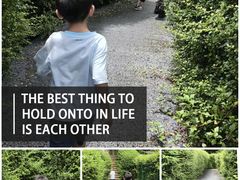 -大屏嶂森林公园