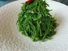 炝拌辣木苗-扬州香格里拉·香宫中餐厅