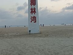 -东郊椰林