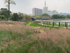 -映月湖公园
