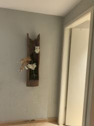 -香秀空间科技抗衰·美容中心