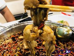 -麻辣巅峰美蛙鱼头火锅(犀浦店)