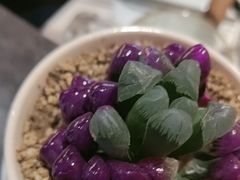 -全牛匠·乐山跷脚牛肉(西北旺万象汇店)