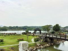 -上海鲜花港