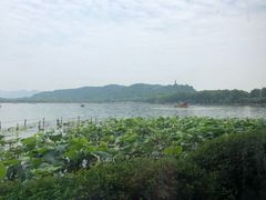 -湖畔居茶楼(湖滨店)