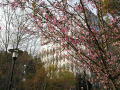 -杭州城北体育公园