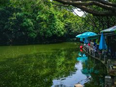 景点-人民公园(罗湖区)