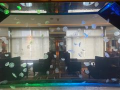 -上海威斯汀大饭店