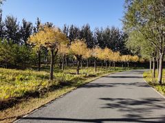 -东郊湿地公园