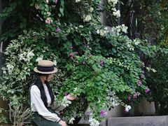 -广州市紫泥堂文化创意园景区