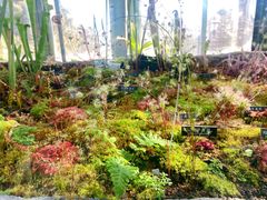 -国家植物园南园