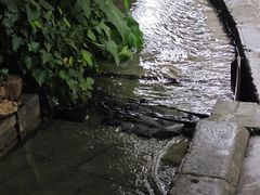 -海窝子古镇