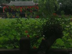 -房湖公园
