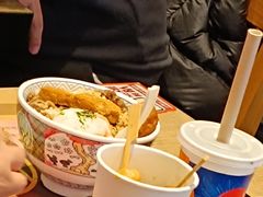 -吉野家(红博中央公园店)