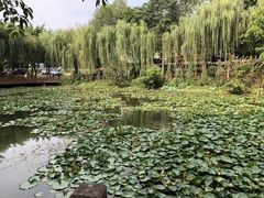 -巴山一绝烤全羊(三圣乡刘家花园店)