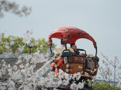 -锦屏公园