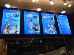 -开心猫(太平街店)