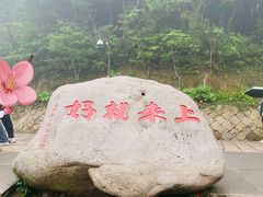 -普陀山慧济禅寺